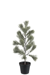 Baum Kiefer Kunststoff Schnee Grün Klein